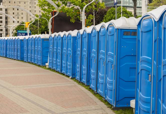 a row of portable restrooms ready for eventgoers in Arcadia